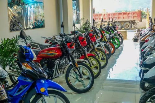 这个摩托车品牌,工厂支持在宁南搞新年特卖会,各种钜惠福利文里有说明